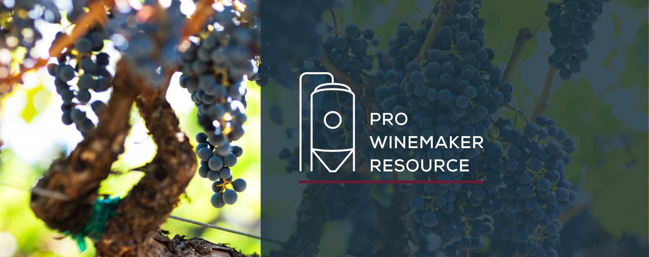 Sulfur Dioxide Additions